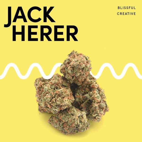 Jack Herer