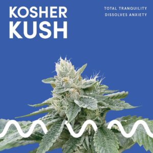 Kosher Kush