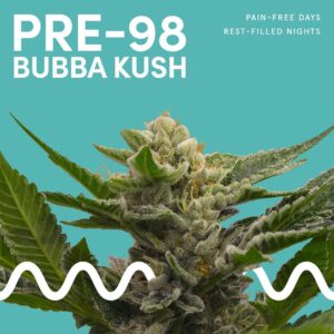 Pre-98 Bubba Kush