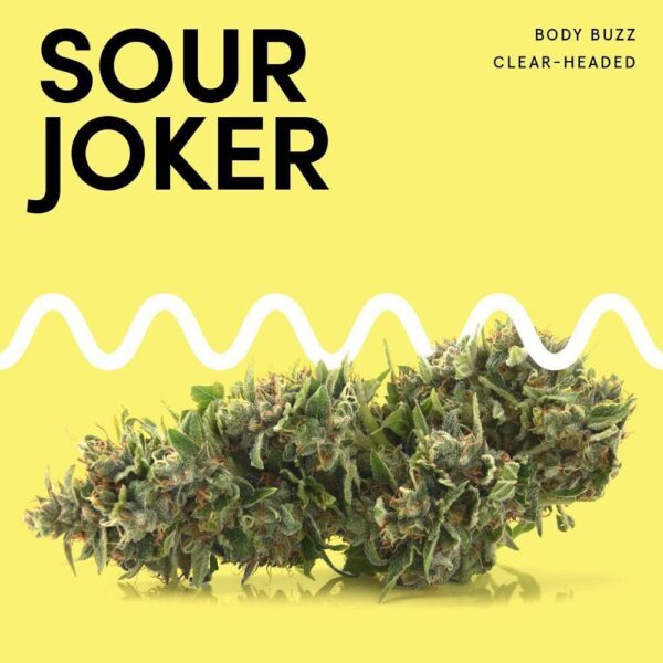 Sour Joker